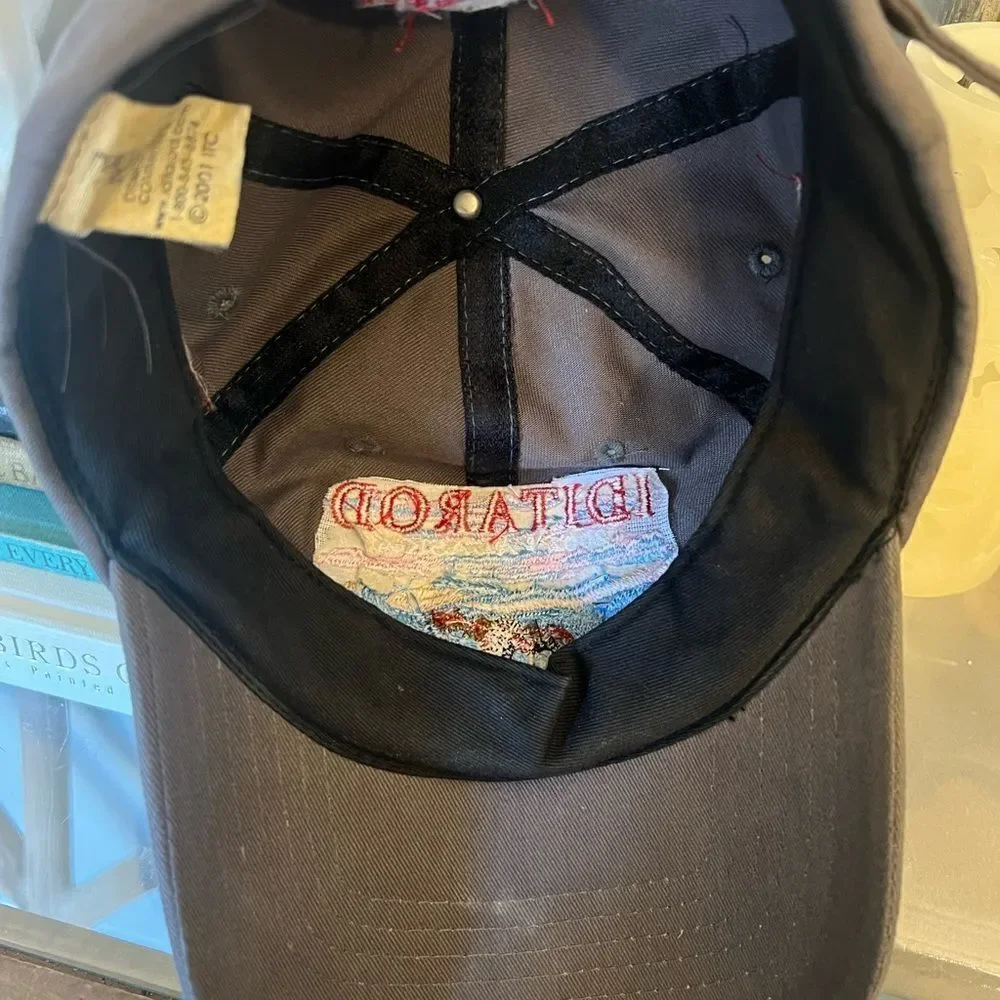 Iditarod vintage embroidered 2002 Wells Fargo Alaska Dog Racing unisex hat.